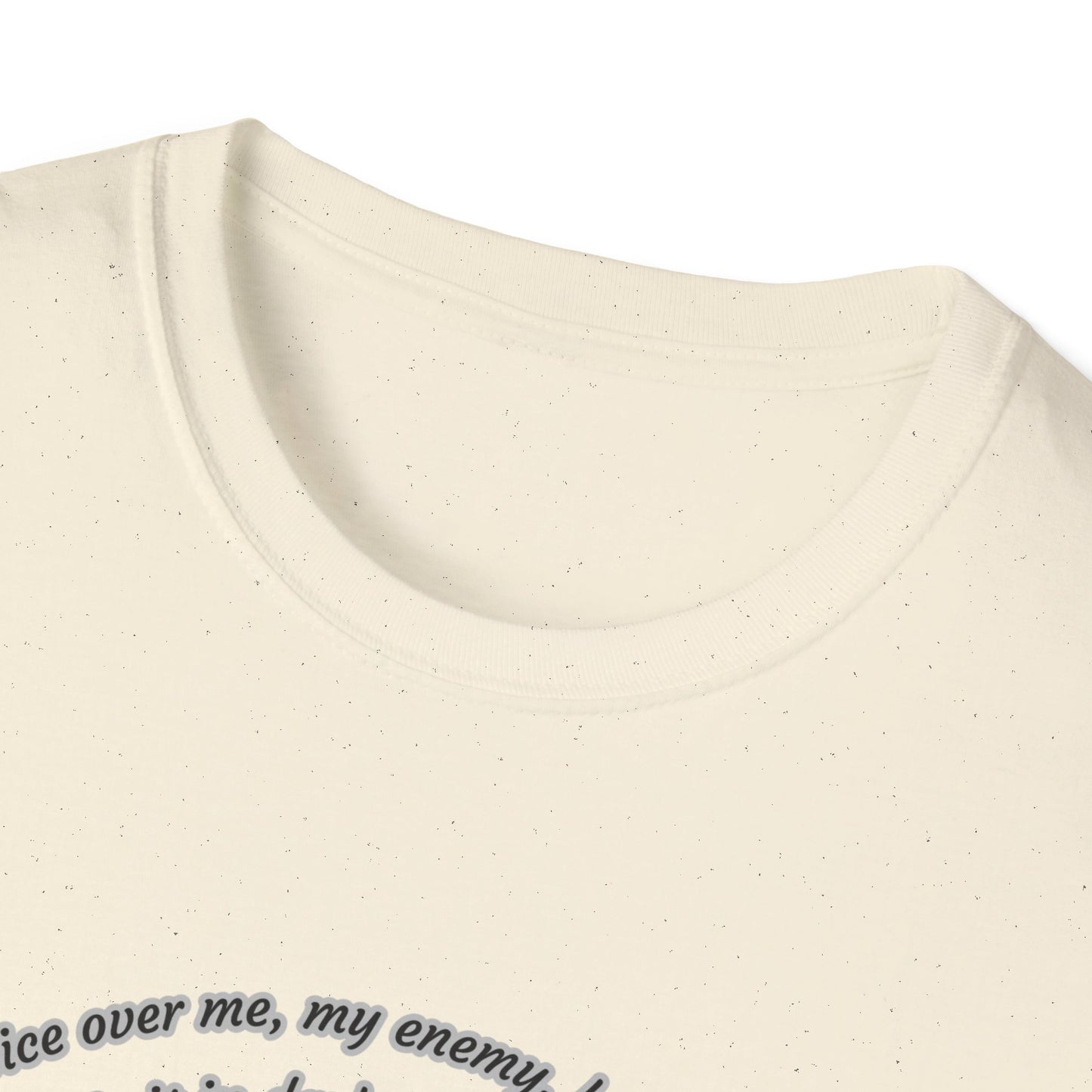 I Will Rise ~ Inspirational Unisex Softstyle T-Shirt Micah 7:8 Design