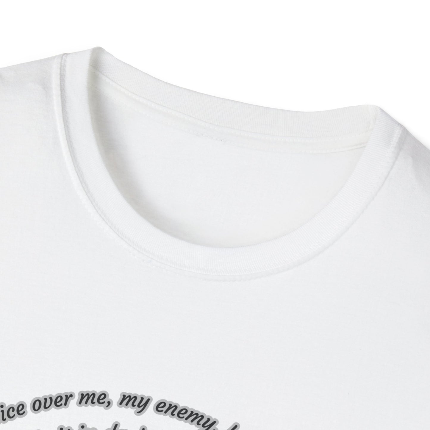 I Will Rise ~ Inspirational Unisex Softstyle T-Shirt Micah 7:8 Design