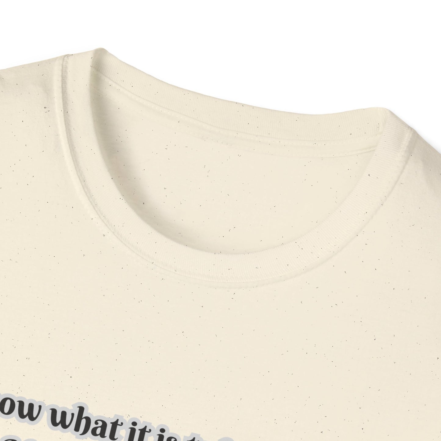 I Can Do All Things (Full Paul Verse) Inspirational Quote Unisex T-Shirt - Philippians 4:12-13