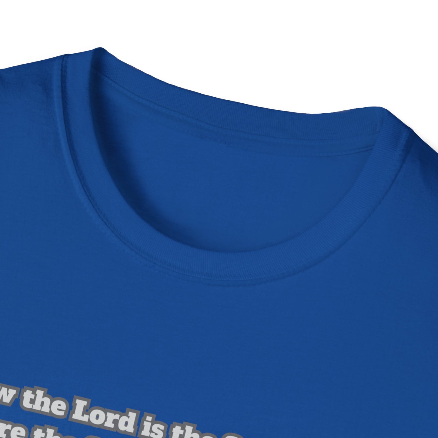 Freedom in the Spirit Unisex Softstyle T-Shirt 2Corinthians 3:17
