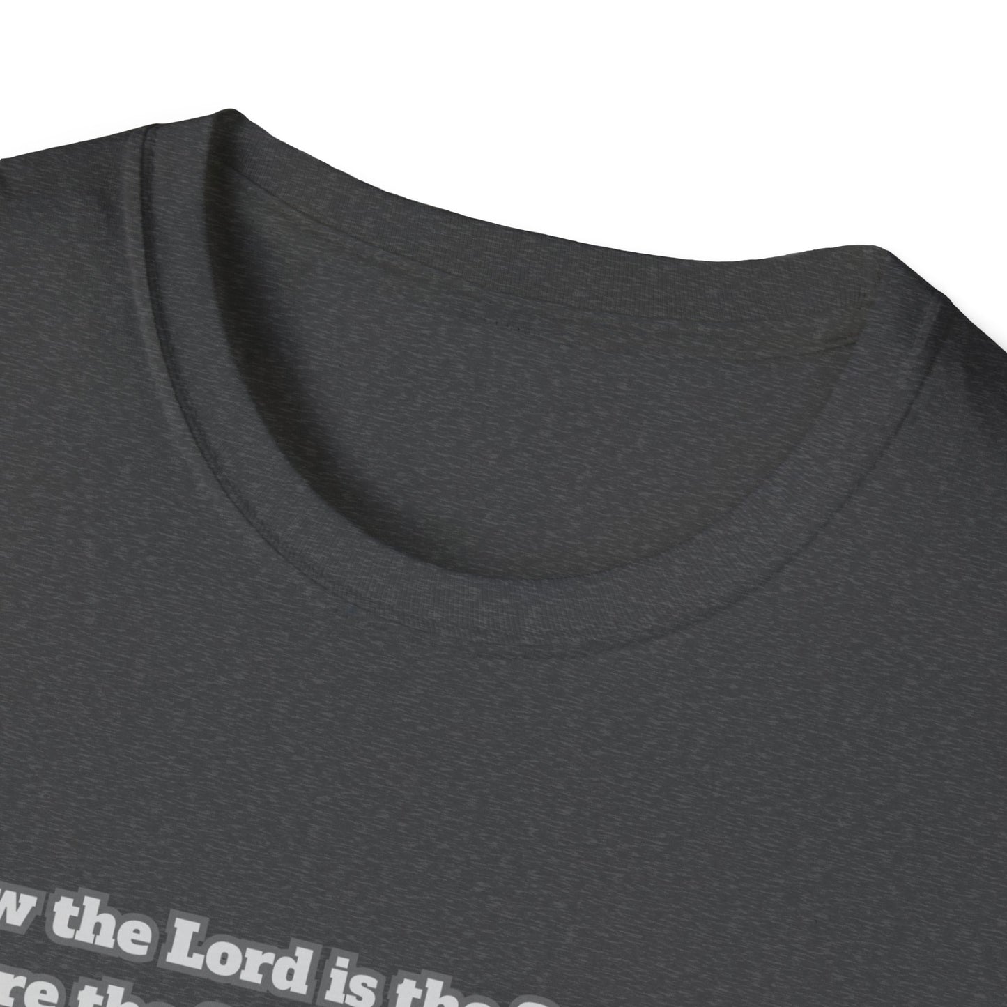 Freedom in the Spirit Unisex Softstyle T-Shirt 2Corinthians 3:17