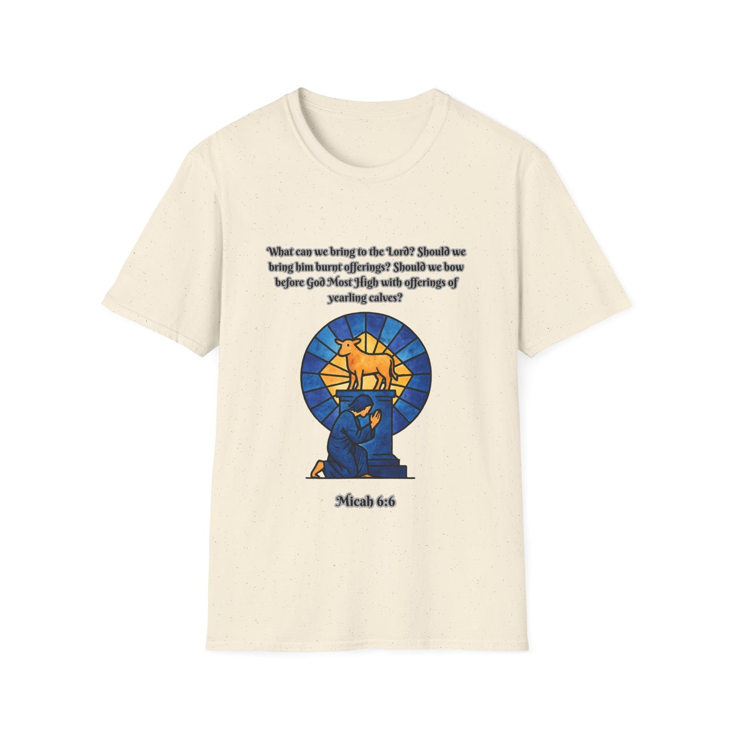 What Can We Bring Inspirational Quote Unisex Softstyle T-Shirt Micah 6:6