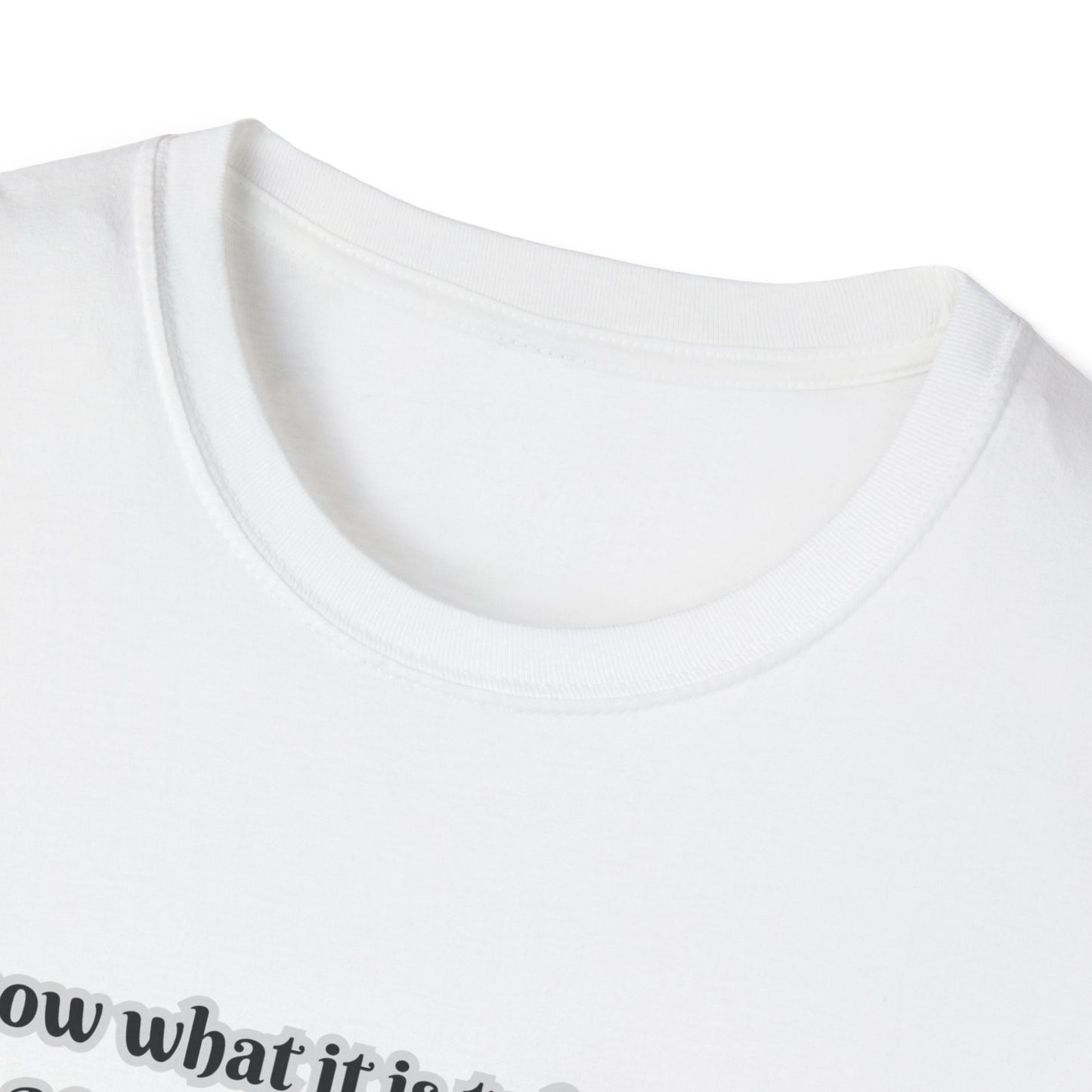 I Can Do All Things (Full Paul Verse) Inspirational Quote Unisex T-Shirt - Philippians 4:12-13