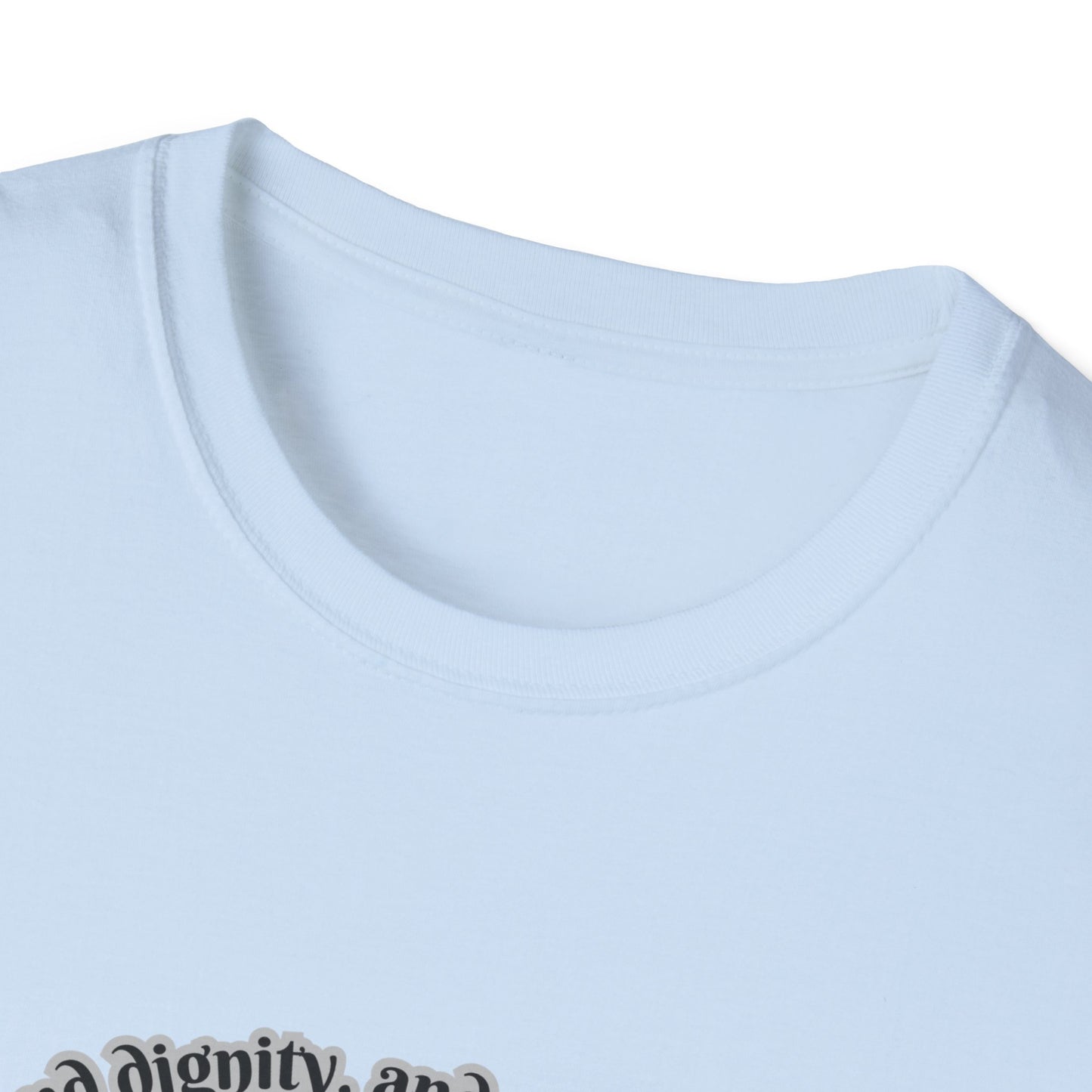 She's Clothed With Strength And Dignity Empowering Feminine Strength Unisex Softstyle T-Shirt -  Design Proverbs 31:25